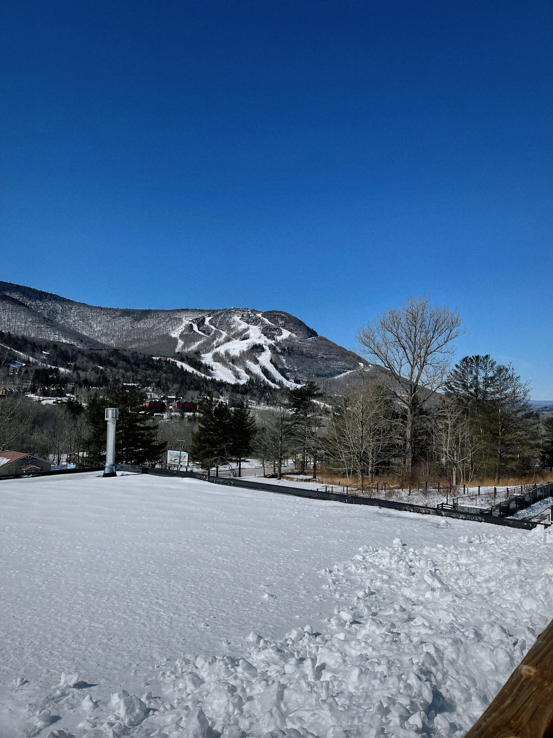 IN THING'S Editor Kamara shares her post NYFW trip to Scribner's Lodge